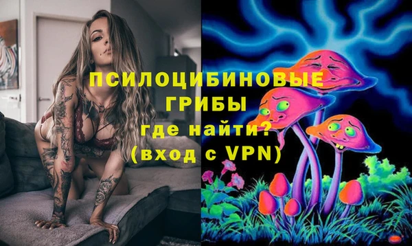 мдпв Нея
