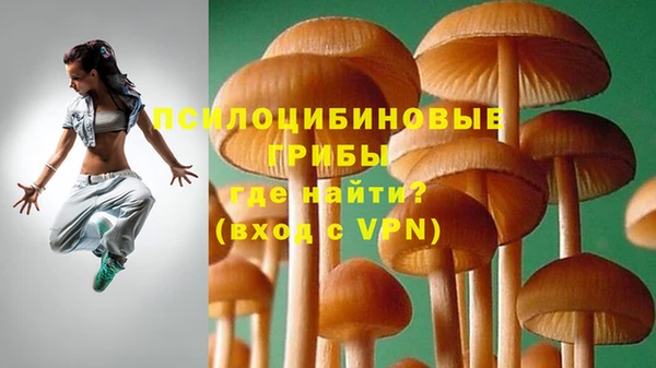 дмт Нефтекумск