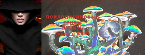 мдпв Нея